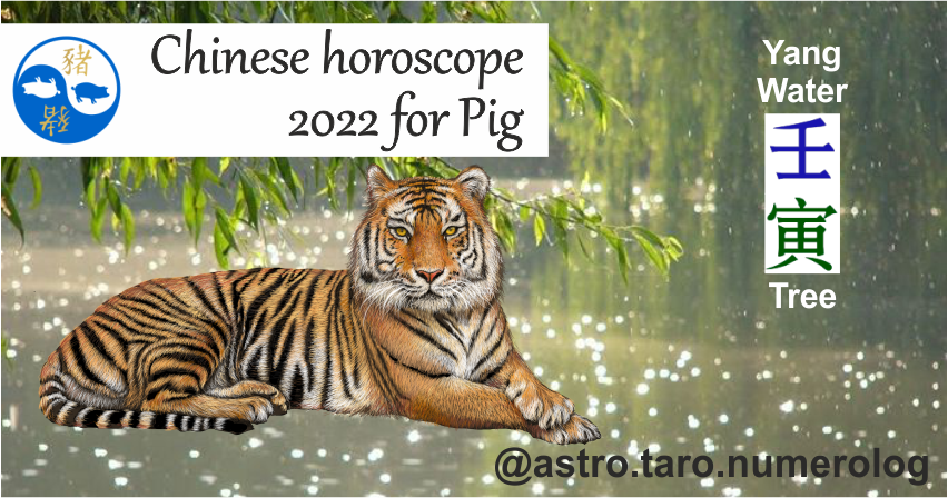 Китайский гороскоп на 2022 год для свиньи